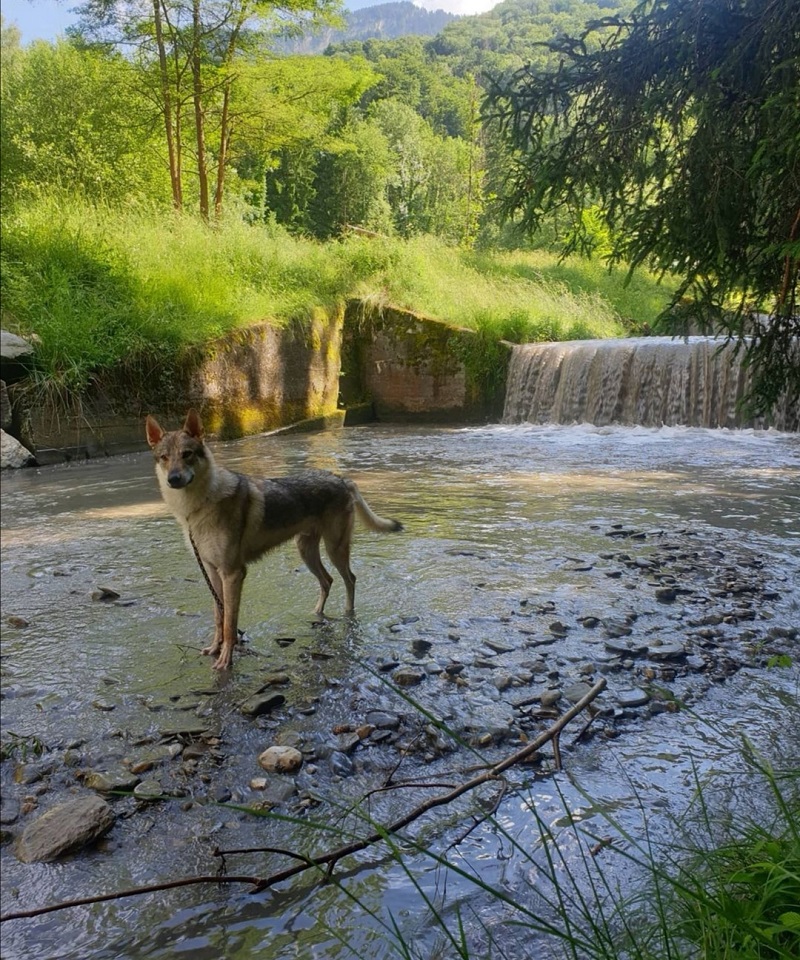 Cascade de Morel