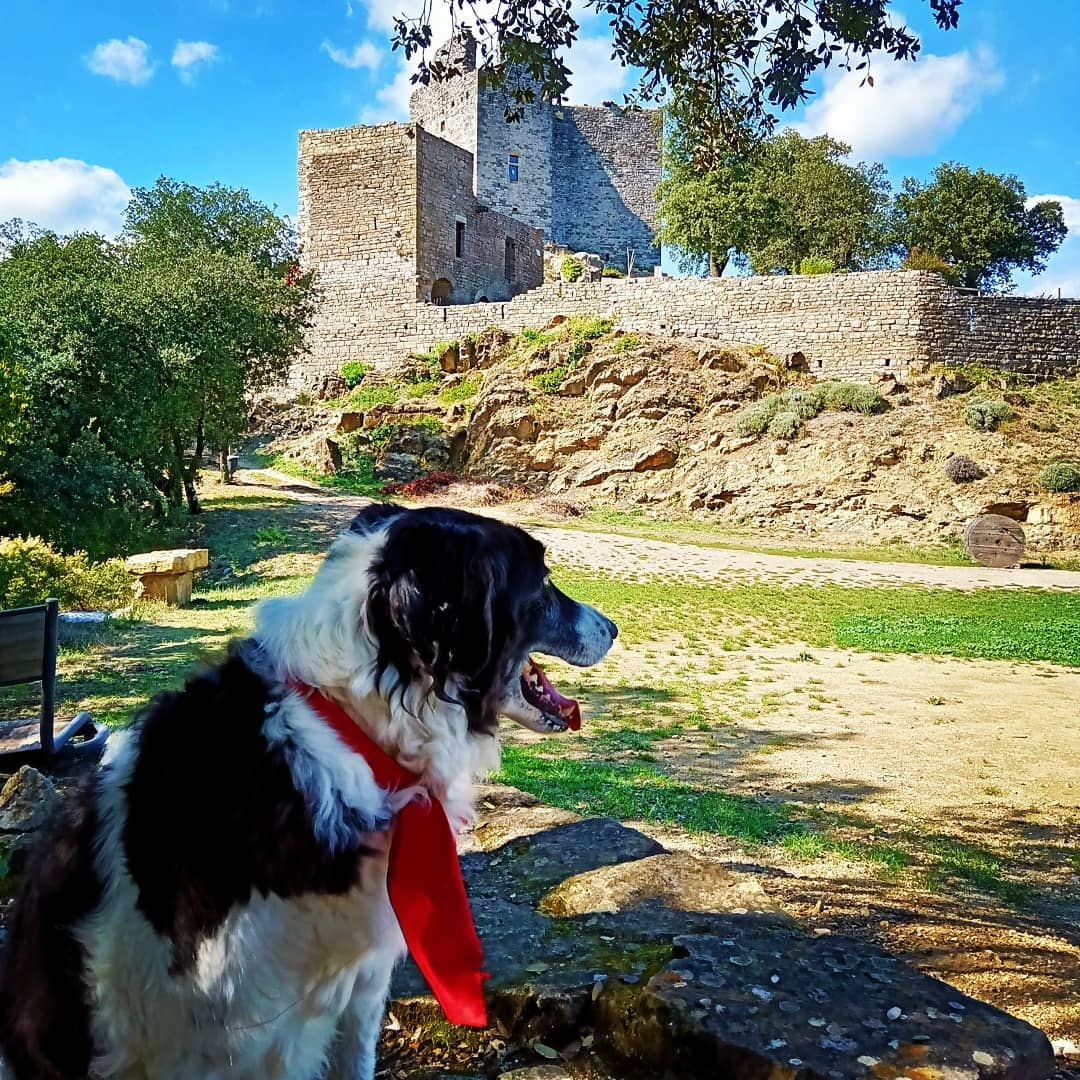 Château de Montalet