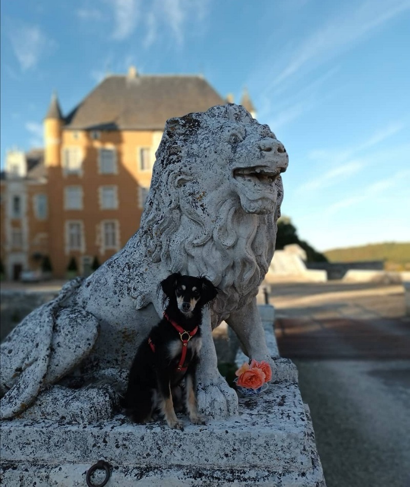 Parc du Château de Touffou