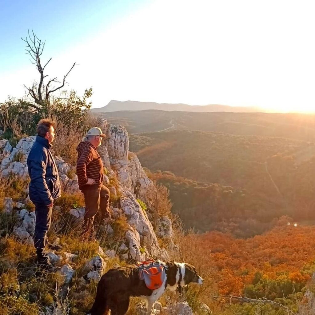 randonnée avec chien cèze cévennes