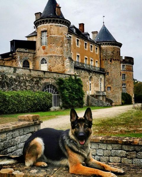 Château de Chastellux