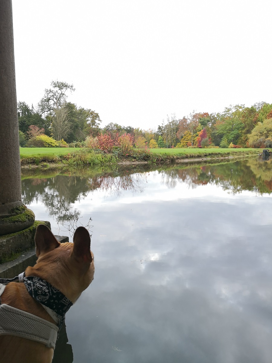 Arboretum de Balaine