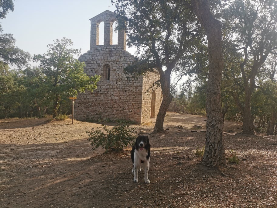 argeles-sur-mer-avec-son-chien-chapelle-saint-laurent-du-mont