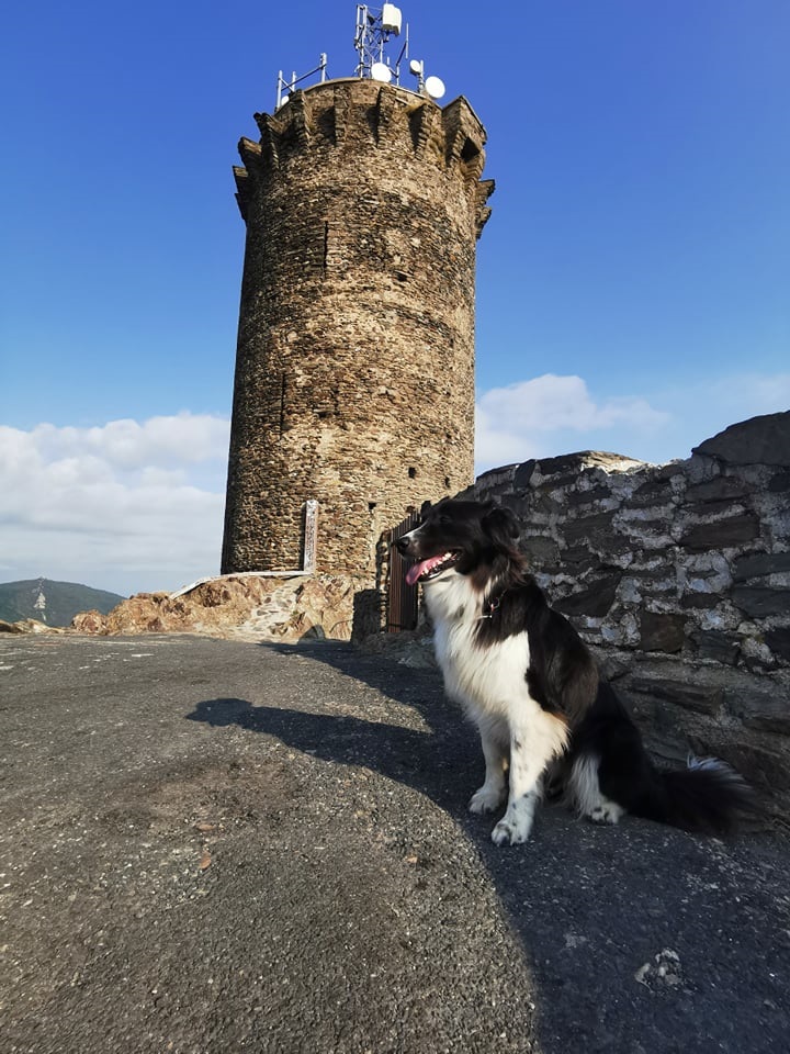 argeles-sur-mer-avec-son-chien-tour-madeloc