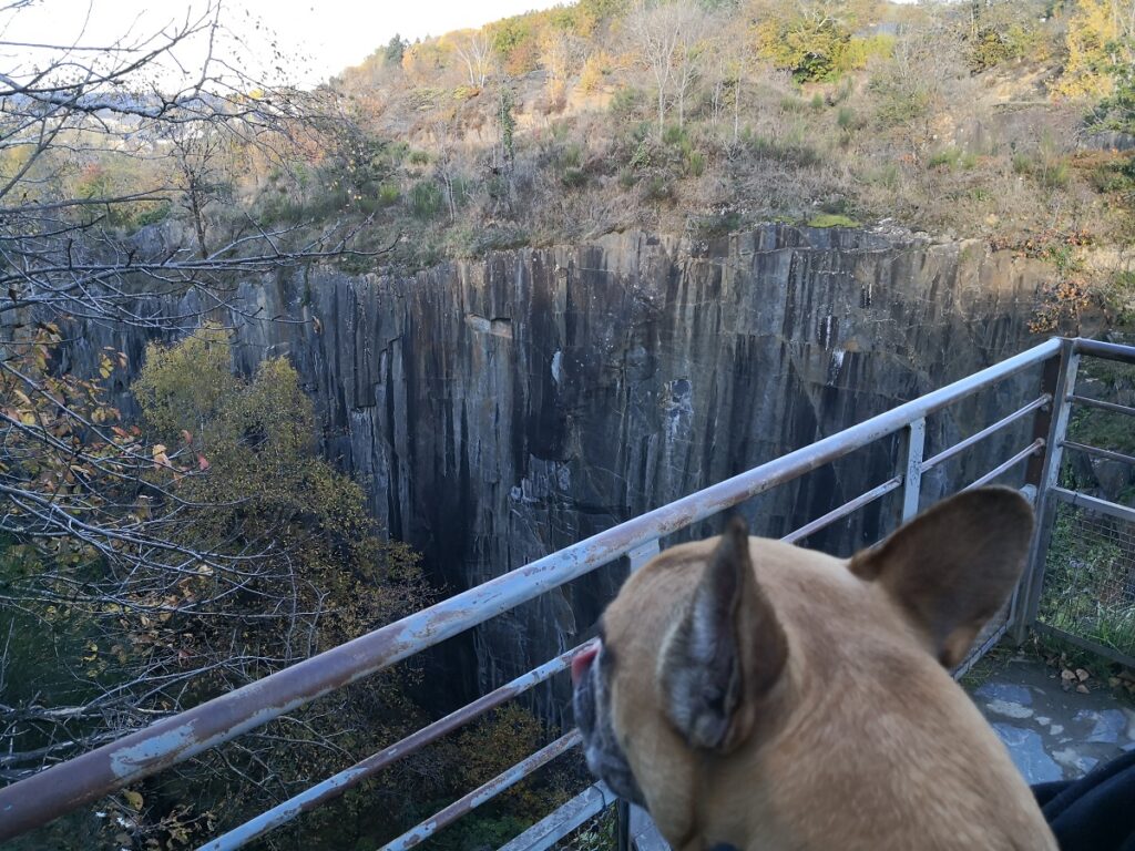 les pans de travassac chien