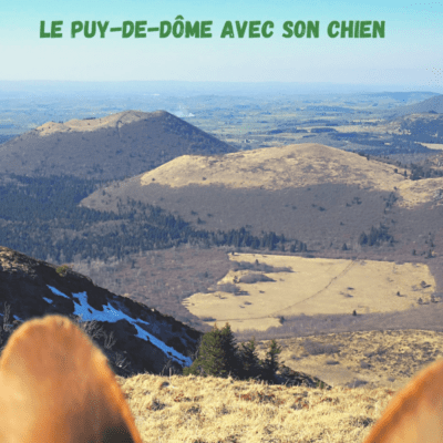 carnet de voyage puy-de-dôme avec chien