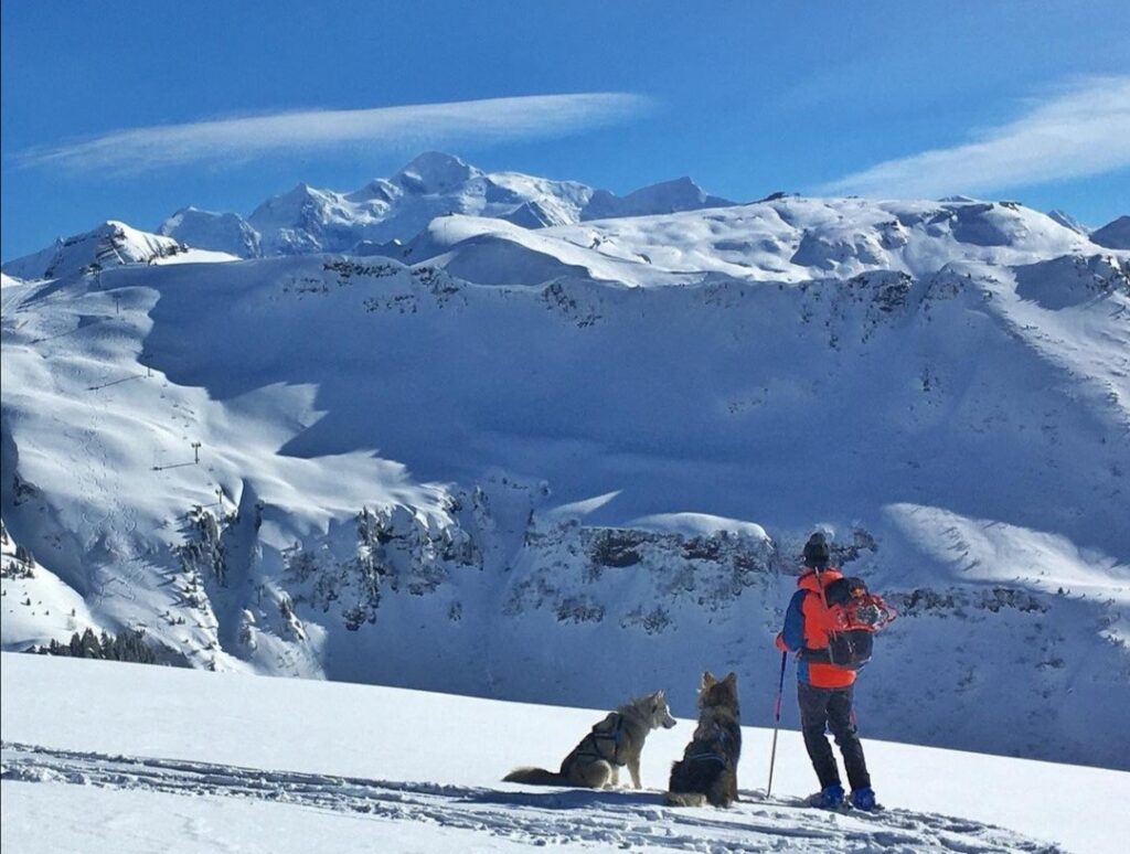 activité avec chien en haute-savoie