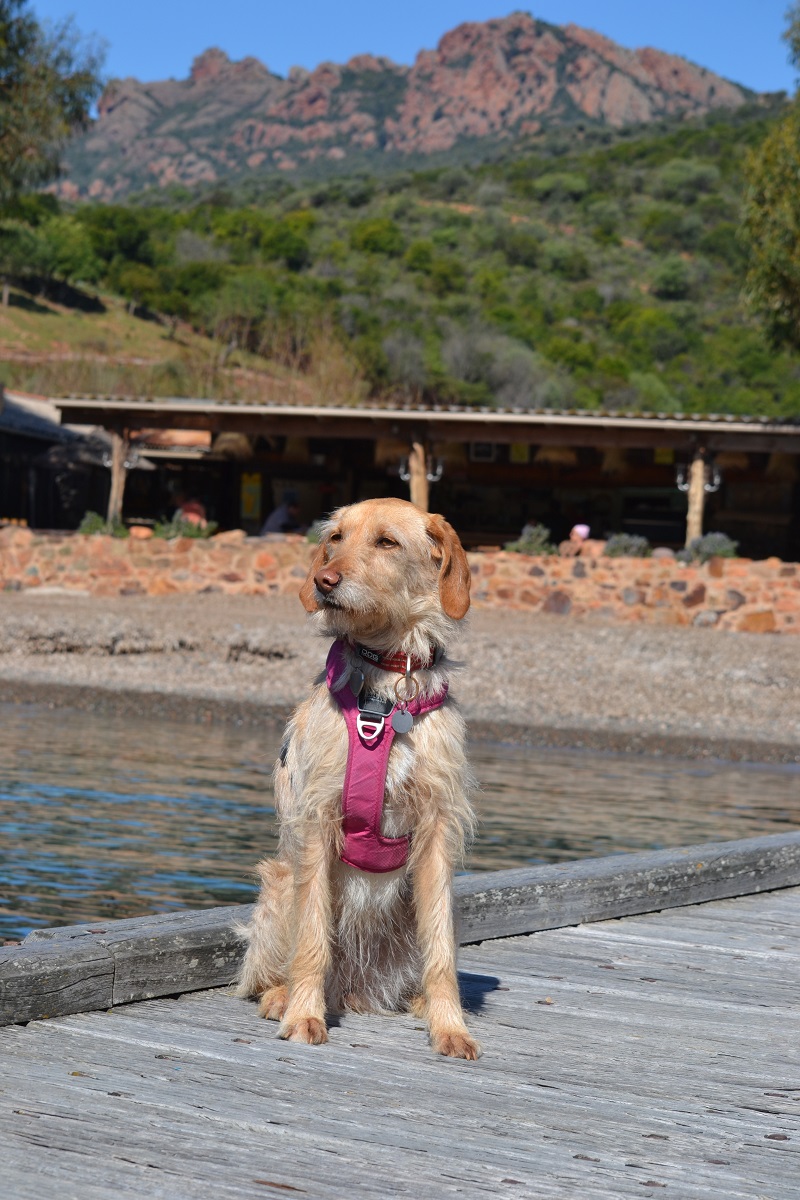 Girolata