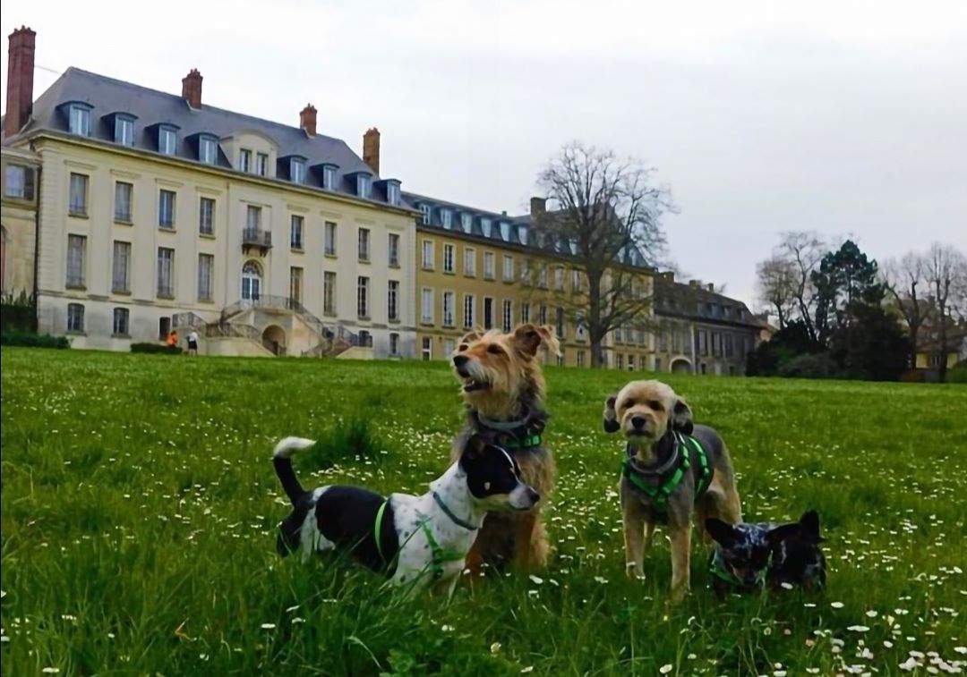 Parc du château de Morsang-sur-Orge