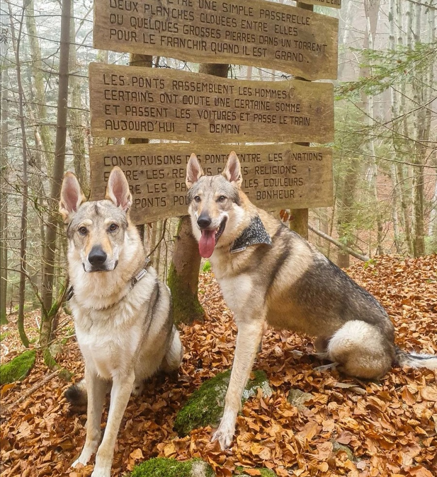 Sentier des Pointières