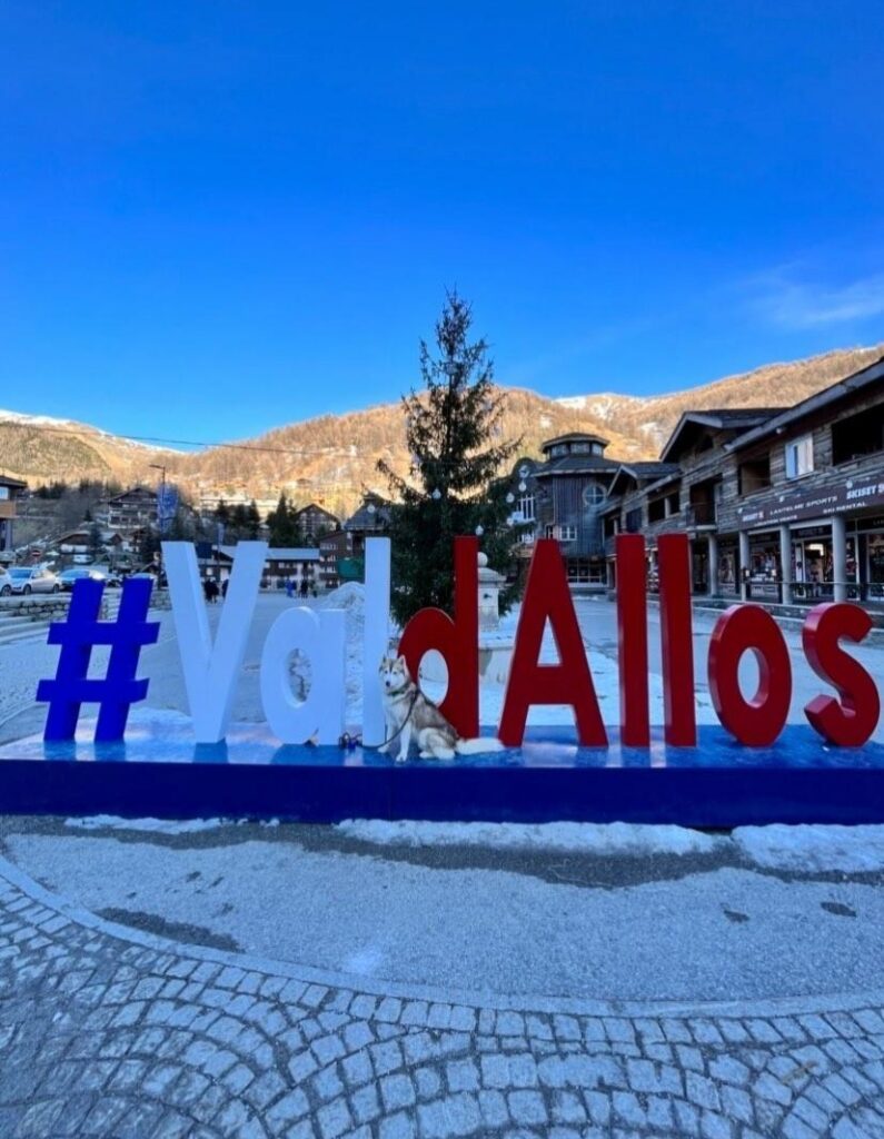 Découvrir le val d'allos avec chien