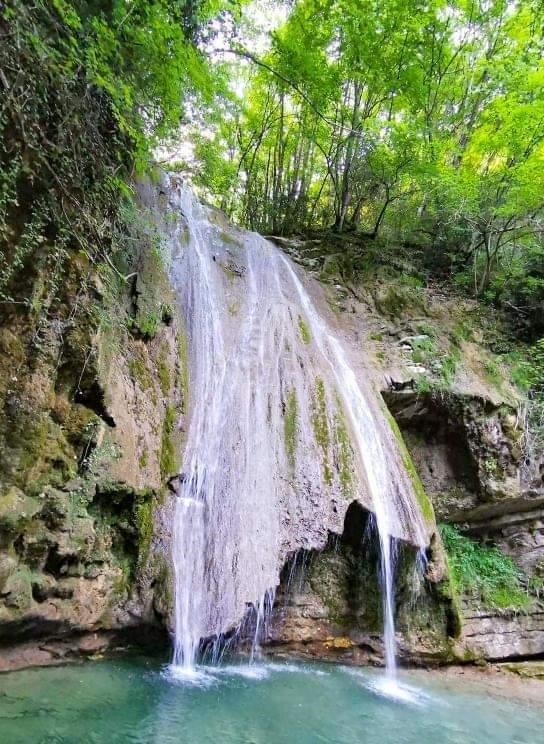 cascade avec chien grésivaudan