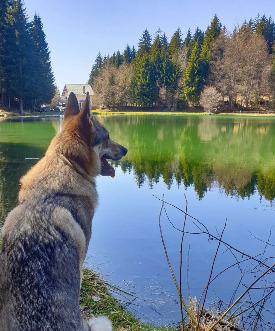 Lac de Freydières