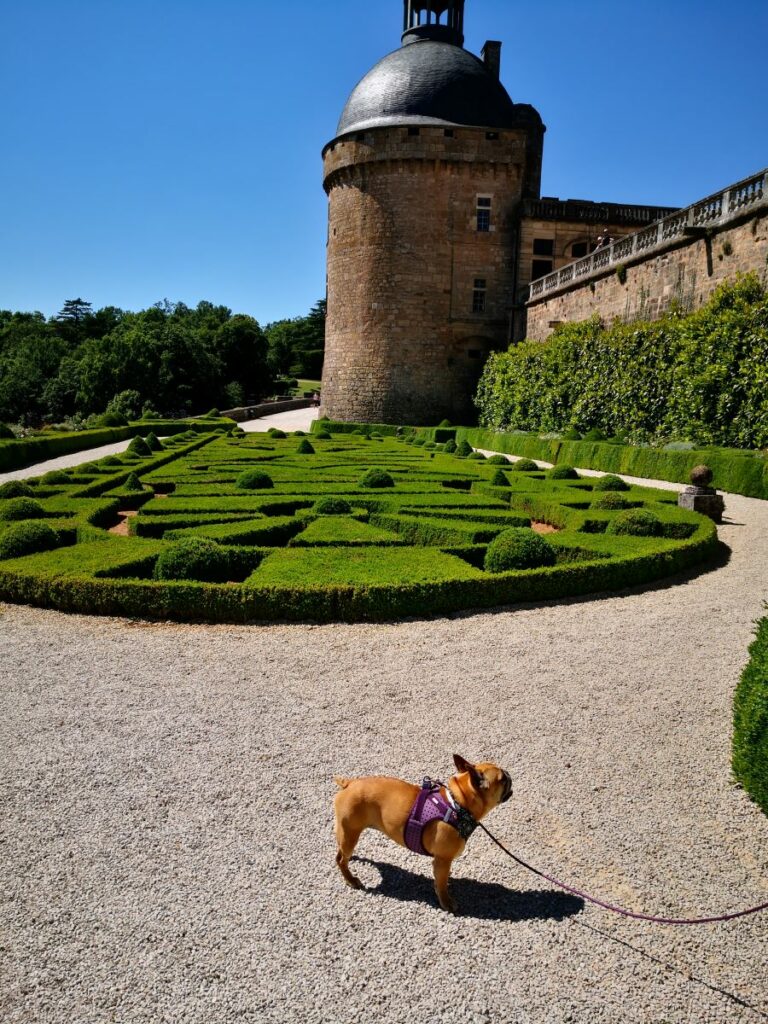 parc du château de hautefort chien accepté