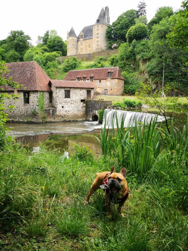 randonnée avec chien périgord les Forges de Savignac Lédrier