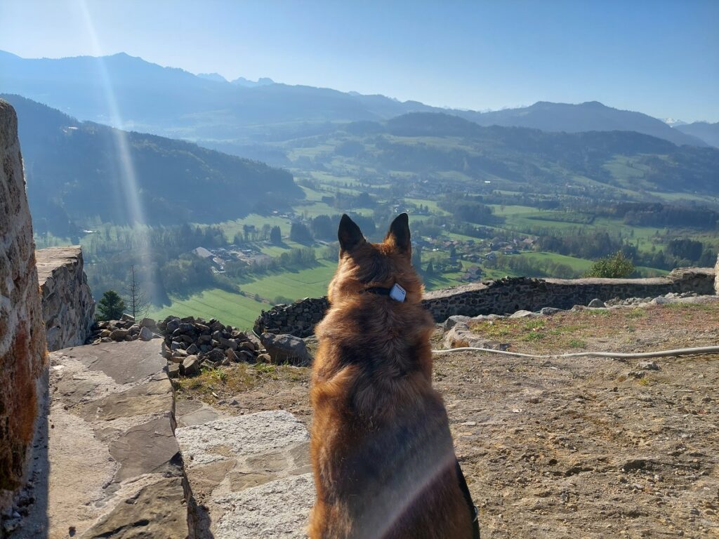 randonnée en haute savoie avec un chien boucle de rocafort