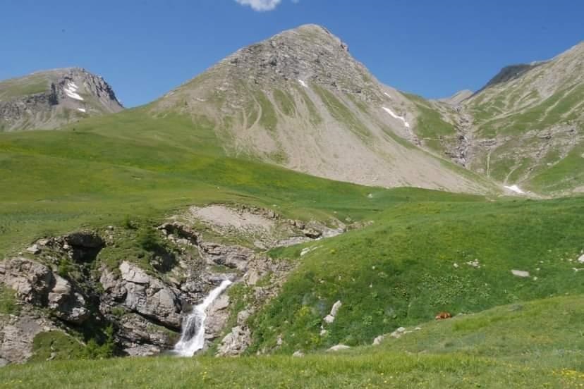 séjour avec un chien val d'allos parc du mercantour