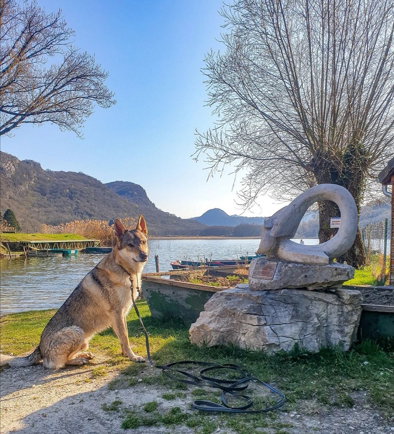 Lac de Barterand