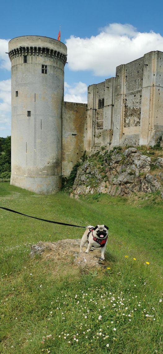 Parc du château de Falaise