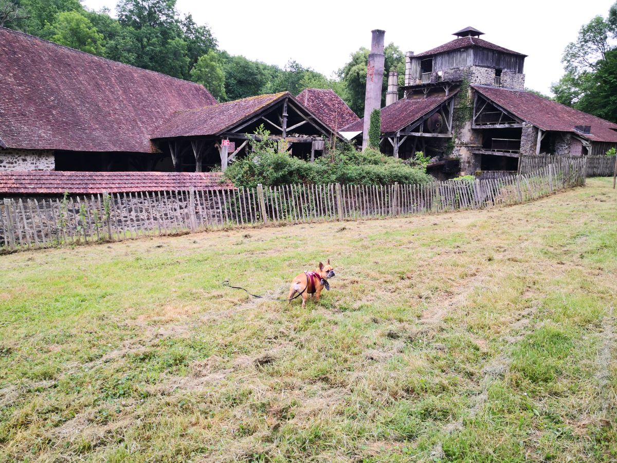 Les forges de Savignac-Lédrier