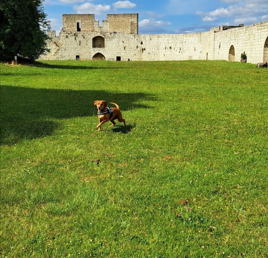 Château de Villebois-Lavalette