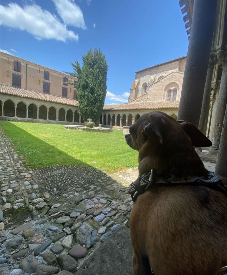 abbaye de saint-hilaire chien autorisé