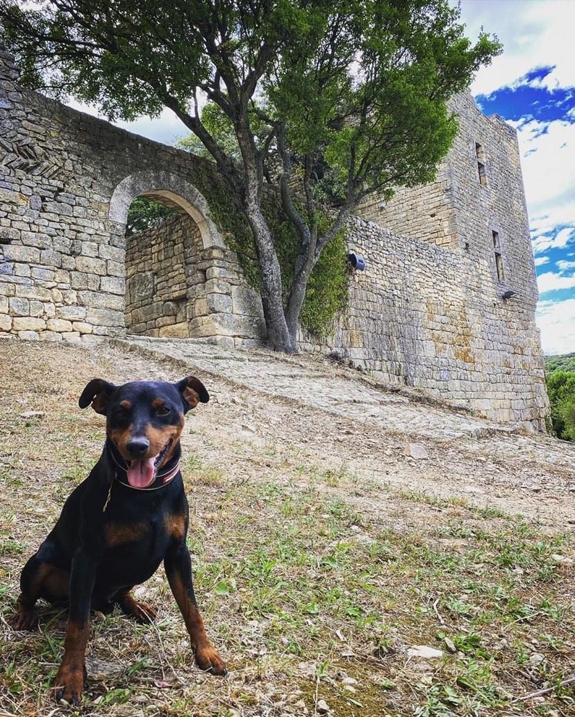 Château de Gicon