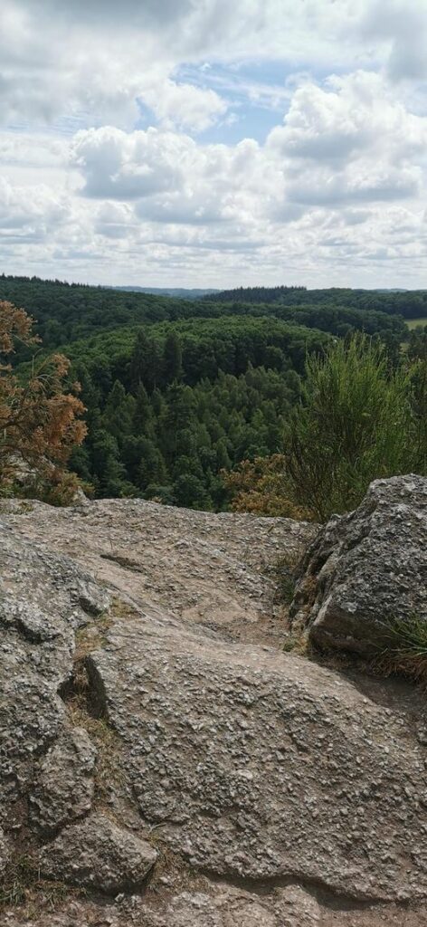 chien en vacance suisse normande