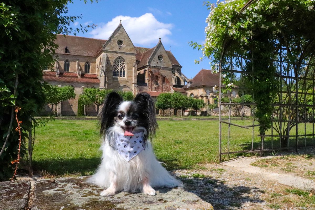 Musée et jardin du Prieuré de Souvigny