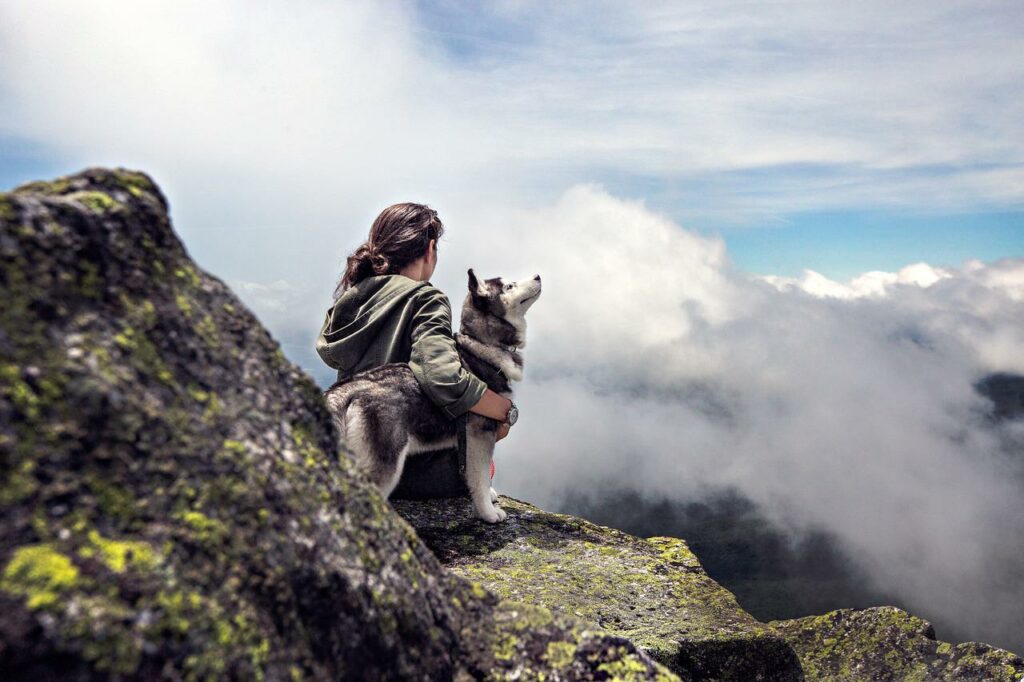 randonnée avec un chien 