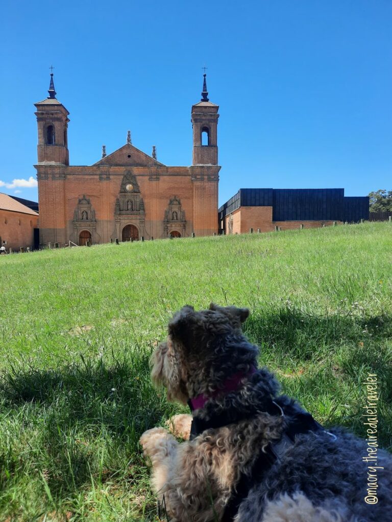 road trip en espagne avec un chien