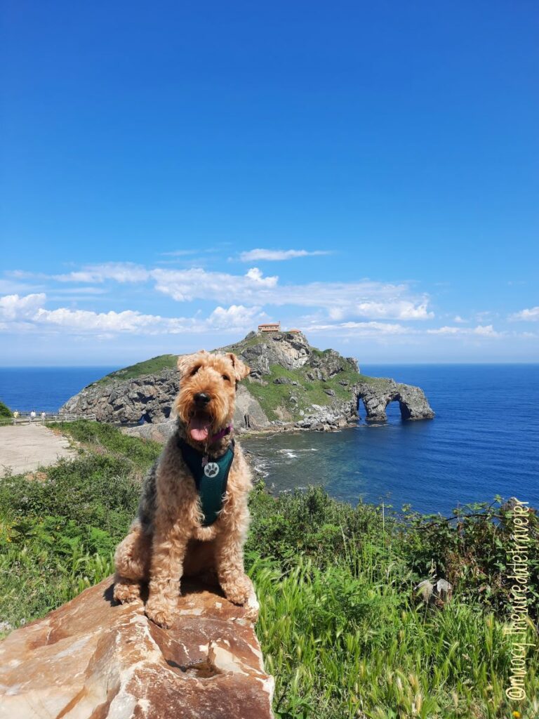 vacances avec chien en espagne road trip
