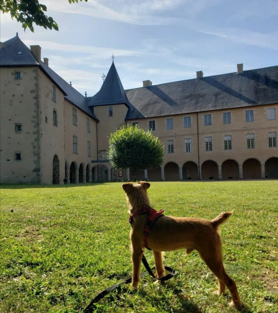 visite Parc du château de Rochechouart avec chien haute-vienne