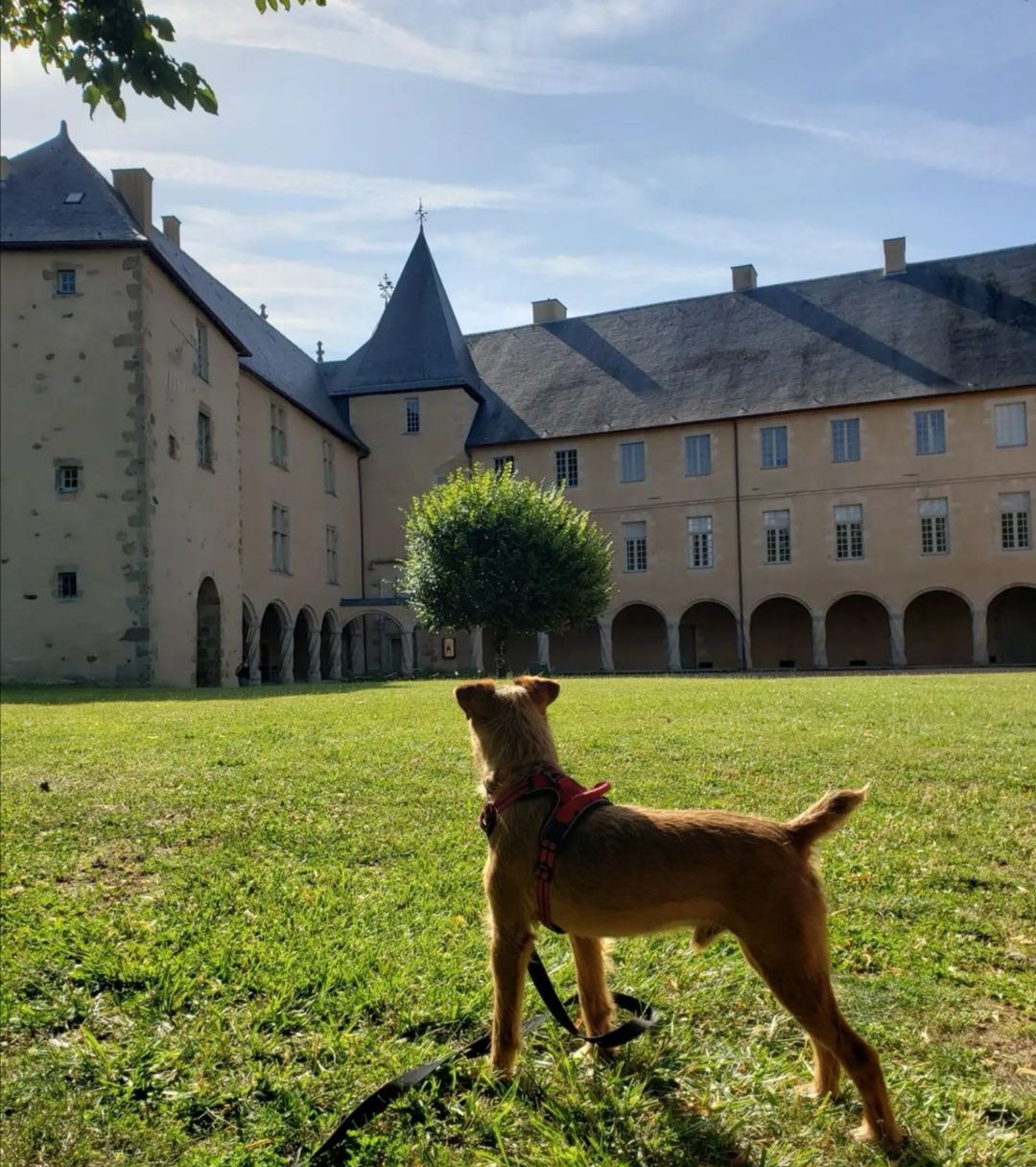 Parc du château de Rochechouart