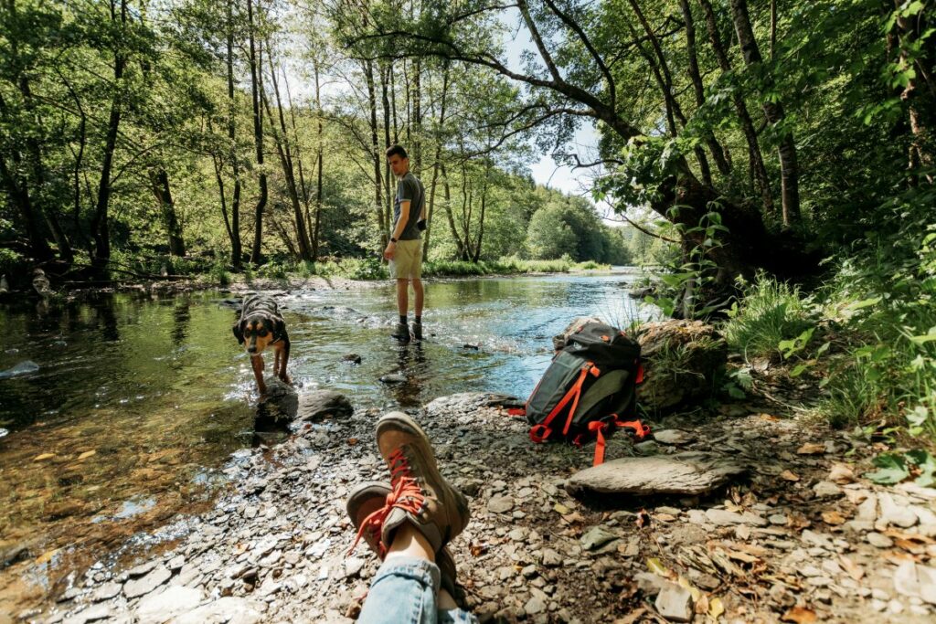 où promener son chien en Wallonie