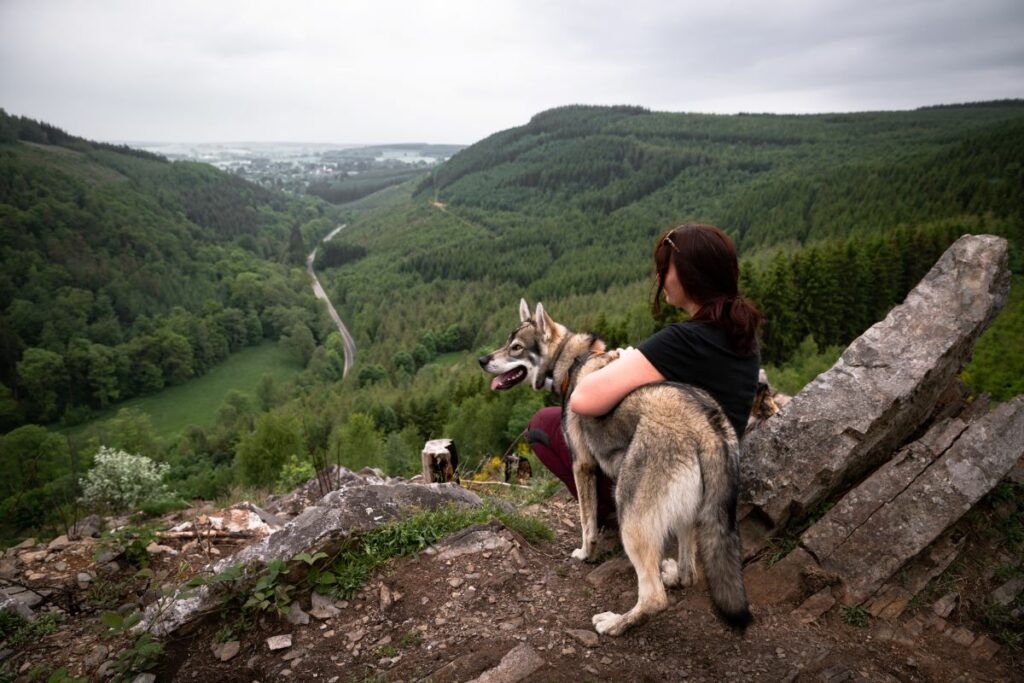 Que faire avec un chien en Wallonie?