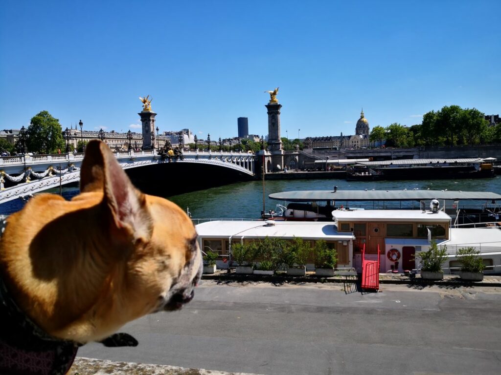 visiter paris avec votre chien tourisme avec mon chien