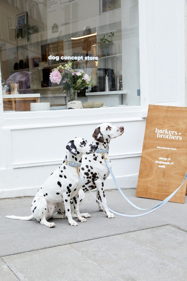 barkers and brothers shopping avec chien paris