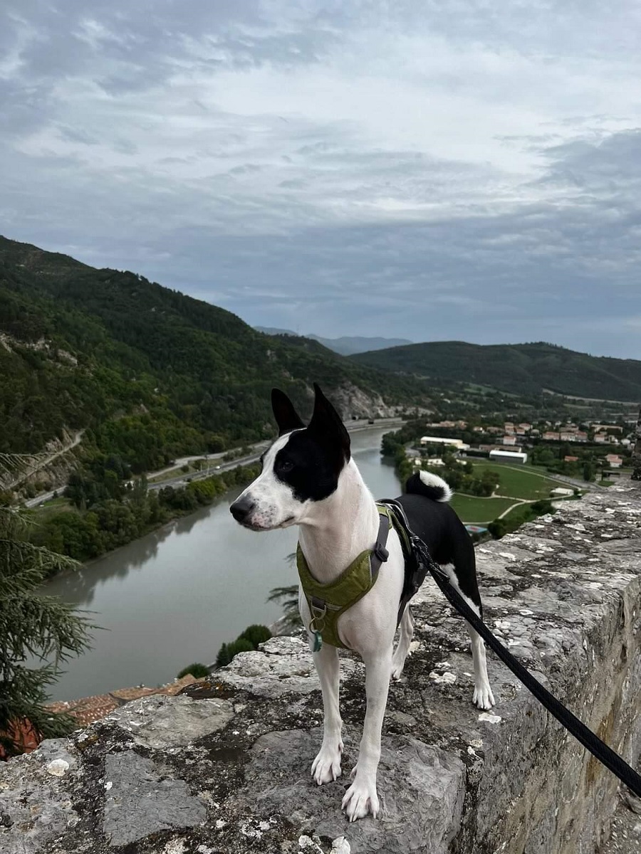 Citadelle de Sisteron