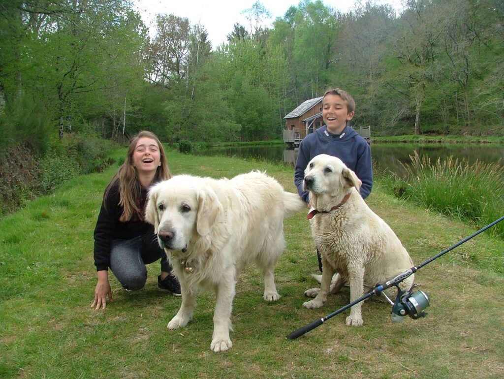 moulin de la jarousse accepte chien