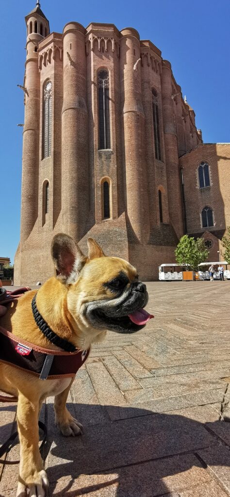 séjour avec chien Albi