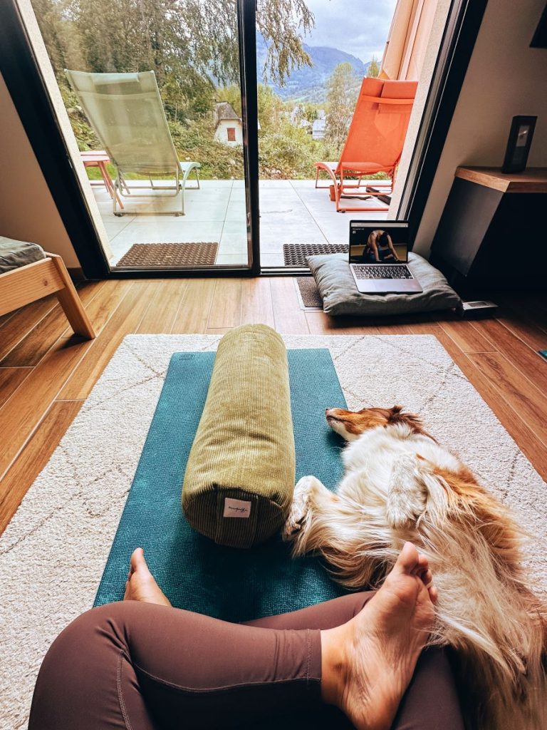 vacance au calme avec chien hautes-pyrénées