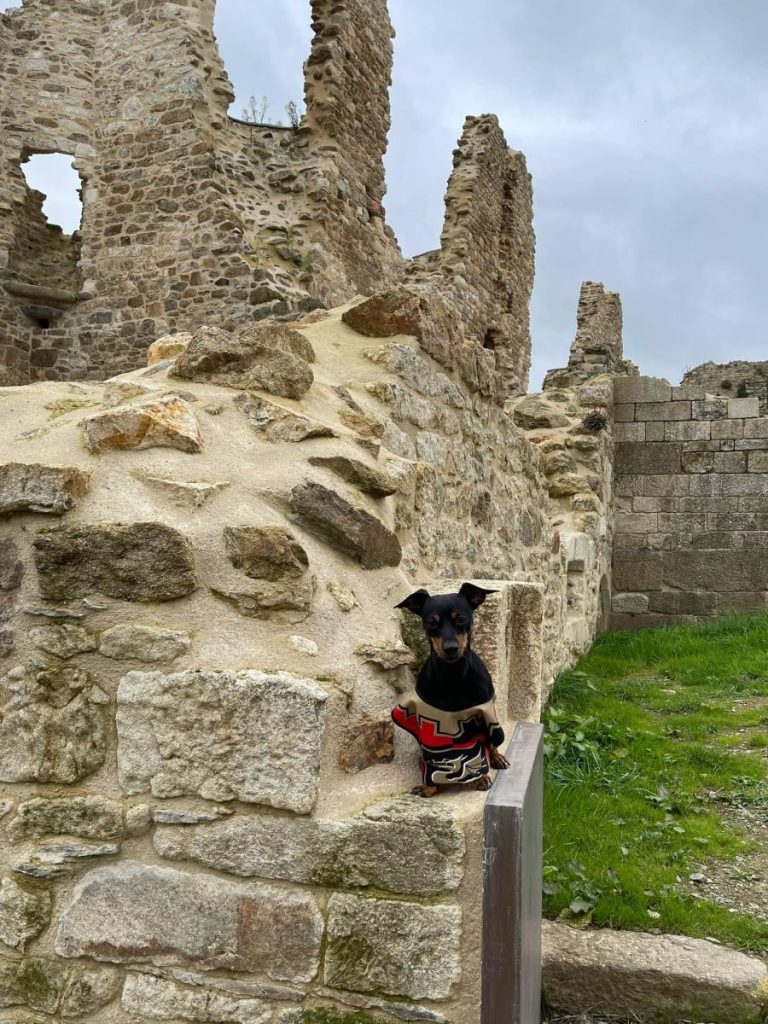 visiter un château avec un chien en bretagne