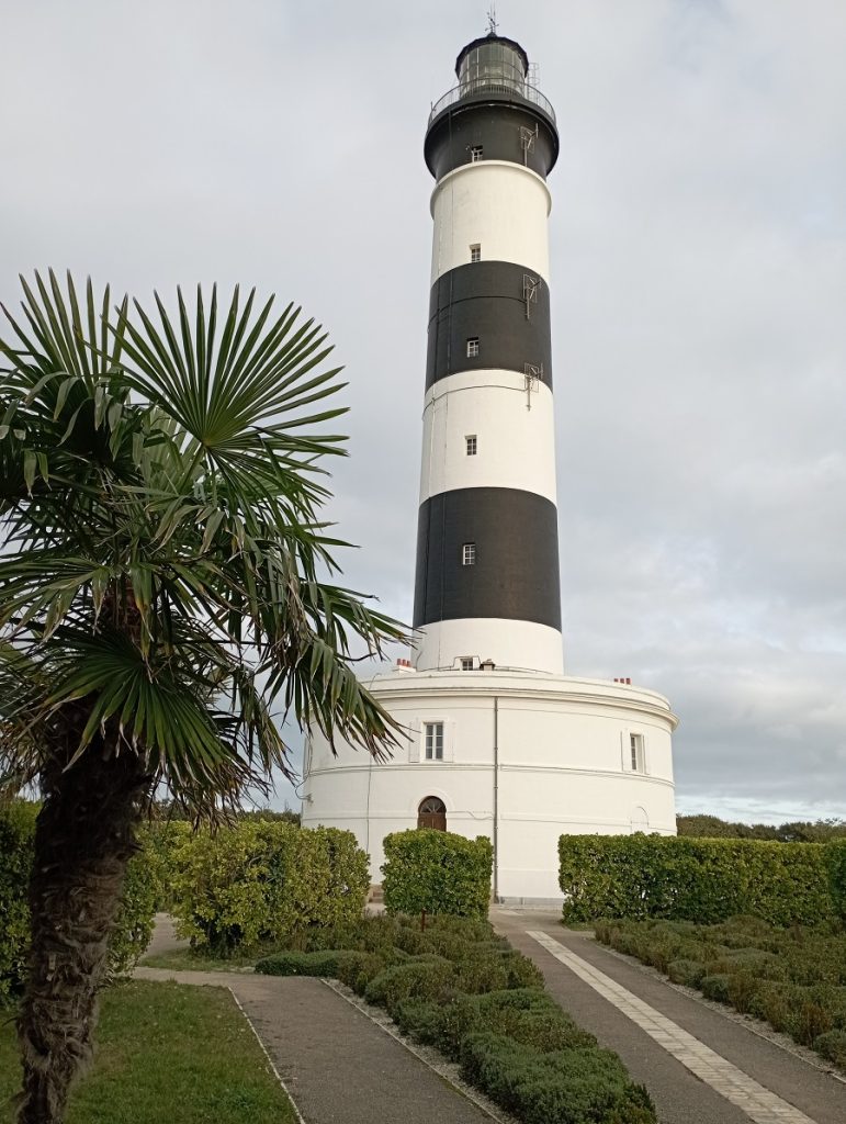 balade phare de chassiron avec chien