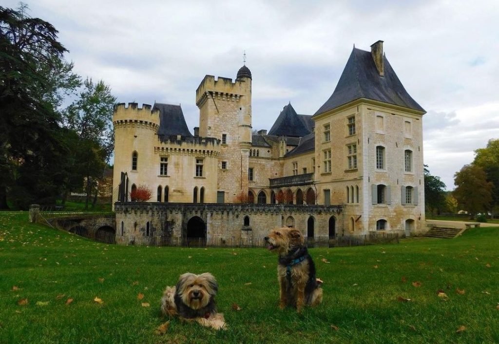 château de campagne dordogne chien accepté