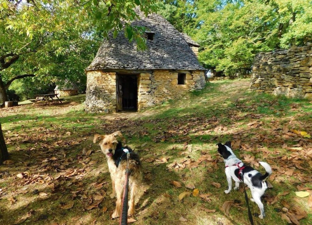 les cabanes du breuil chien accepté