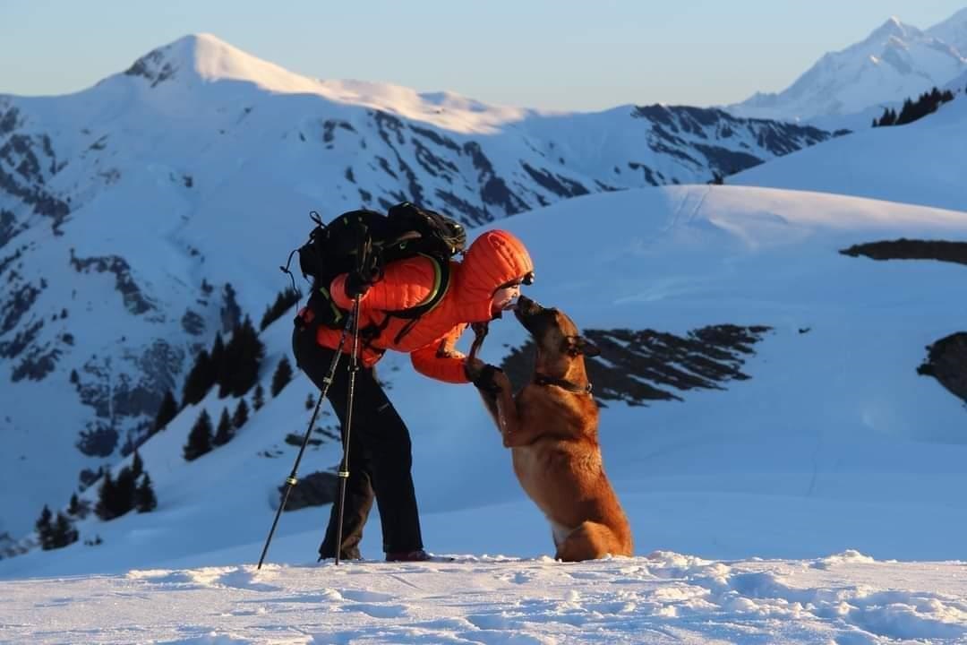 Les vacances d’hiver avec un chien