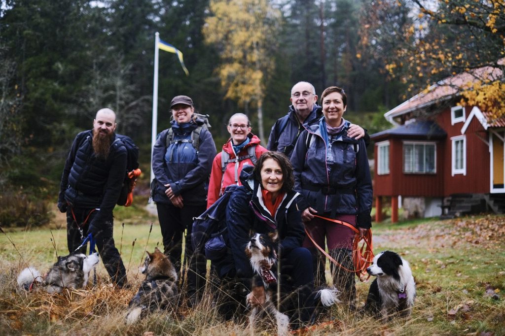 vacances en suède avec un chien