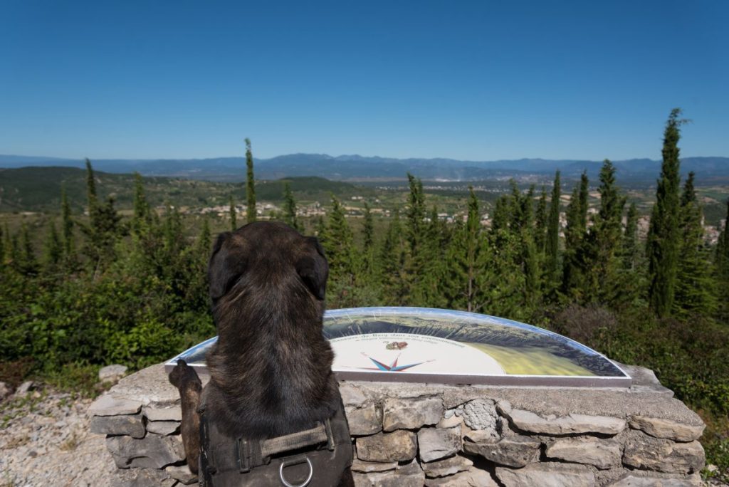 forêt des sens balade avec chien en Ardèche