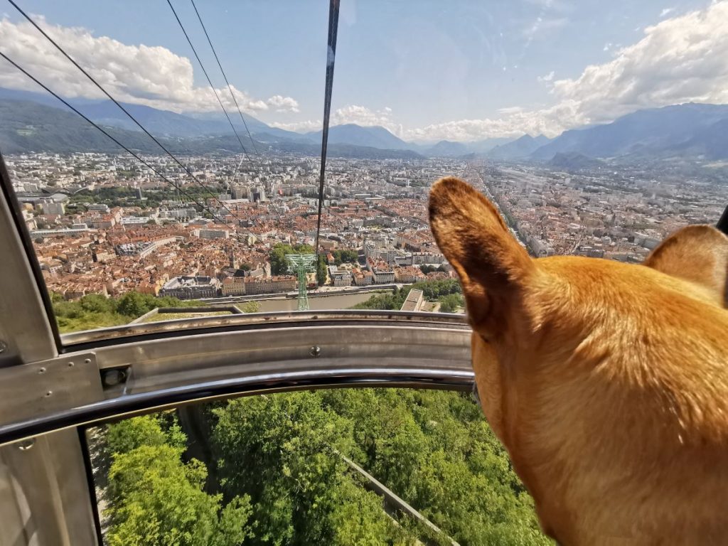 Que faire à Grenoble avec un chien?